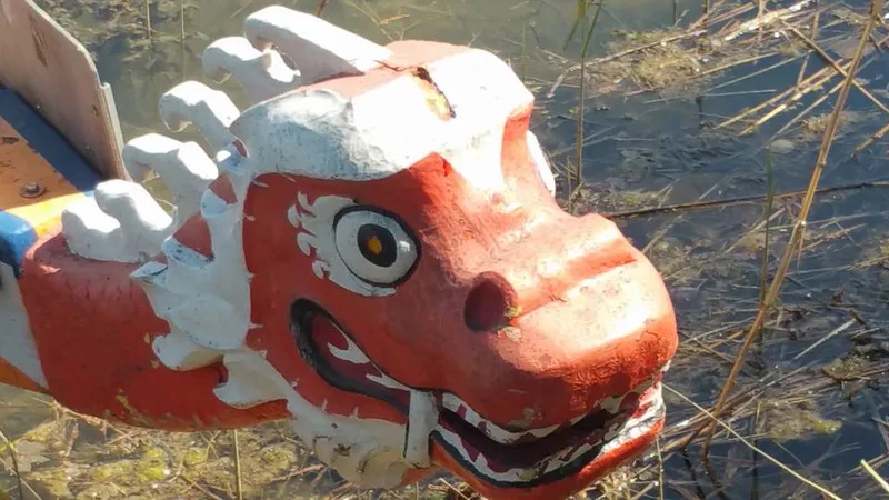 Dragonveneen pääkoriste